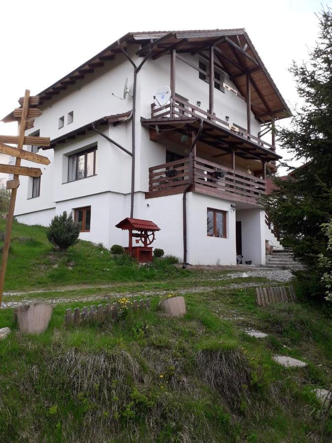 Casa De Vacanta Two Brothers Concept Paltinis Exterior foto