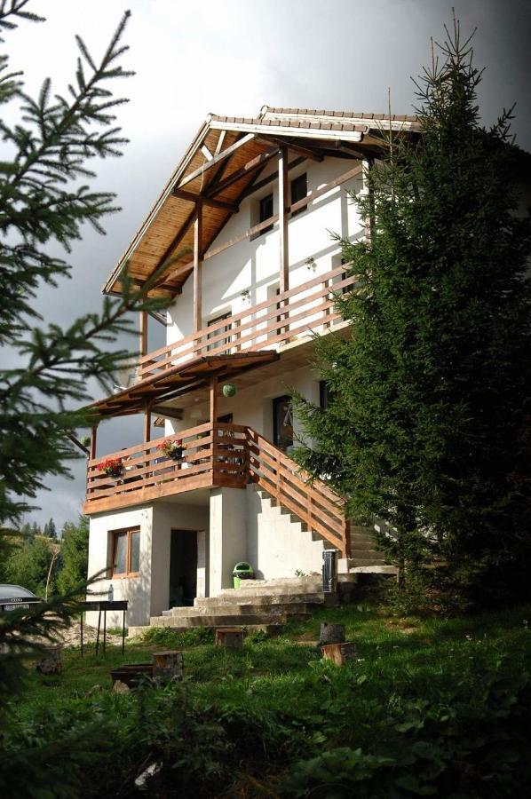 Casa De Vacanta Two Brothers Concept Paltinis Exterior foto
